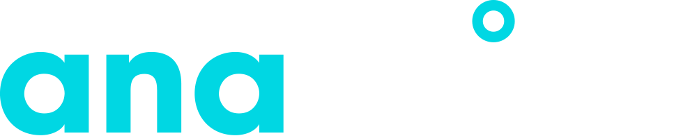 anavision logo