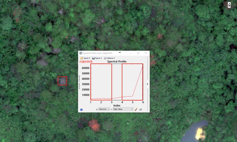 Tree health analysis of forest and country park