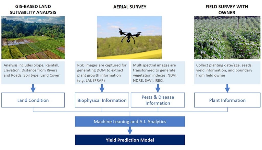 Yield prediction model