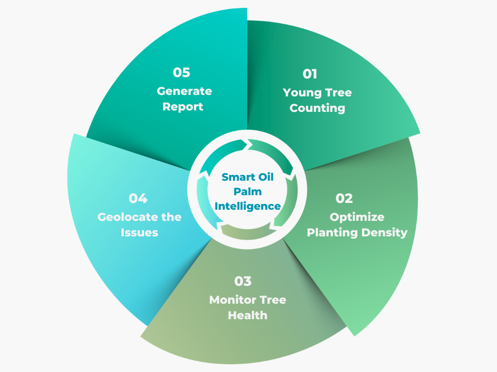 Colorful Gradient Vibrant Dynamic Business Growth Cycle Graph (1)
