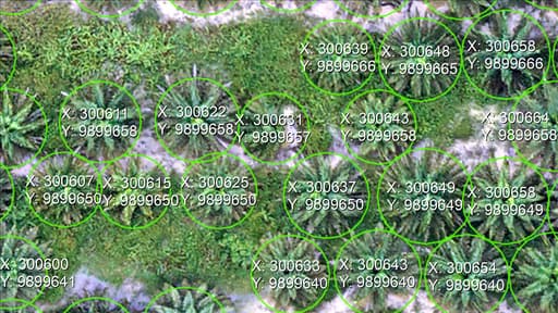 Geolocation