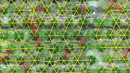 Planting Distance