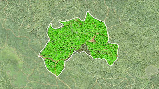 Pre-define Polygon Detection Areas