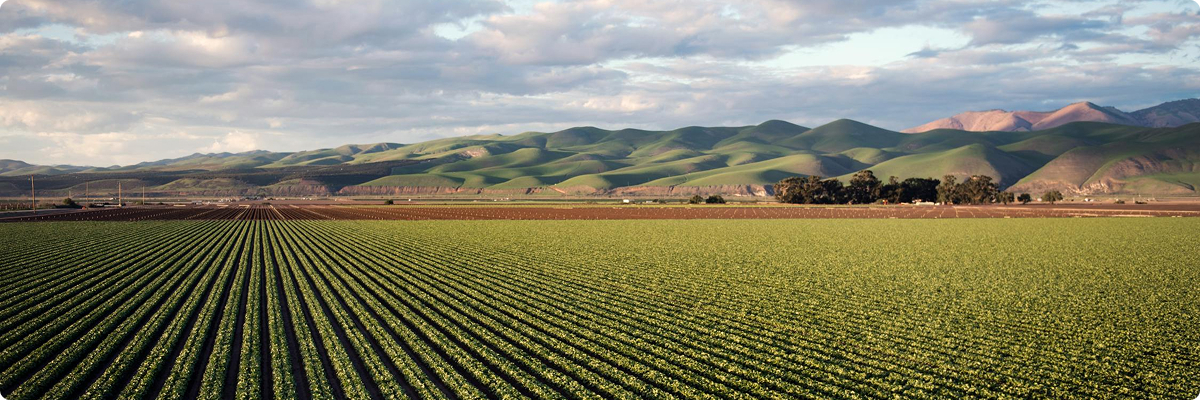 Agriculture Bg