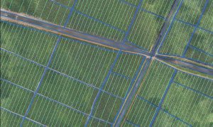 Manage irrigation and minimize soil erosion