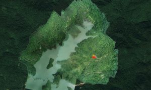 2D Image Reconstruction