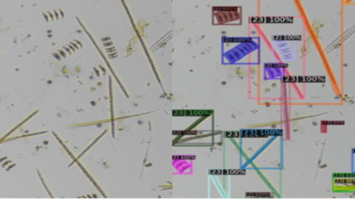 Imagery Detection Output